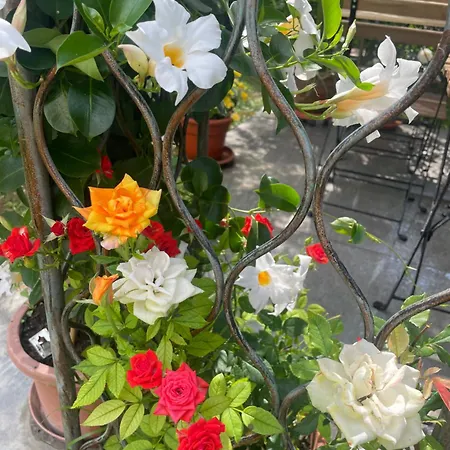 Il Casale Del Magra Ameglia