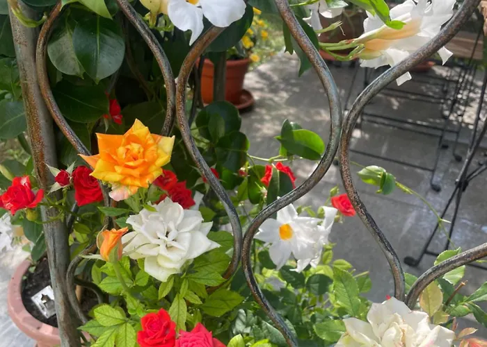 Il Casale Del Magra Ameglia